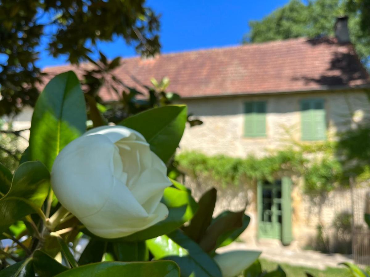 Le Clos Chalmon Chambre D'Hote Montignac-Lascaux Exterior foto